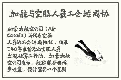 濑亚美莉吧
